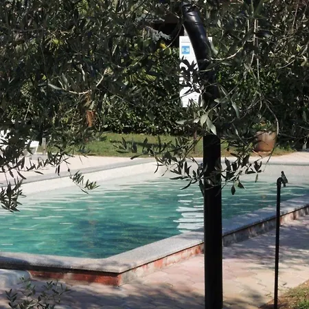 Сasa de vacaciones Lorena Mit Salzwasser-pool In *